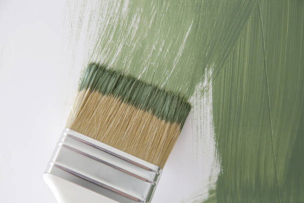 Best Emergency Mold Remediation  in Ashville, OH
