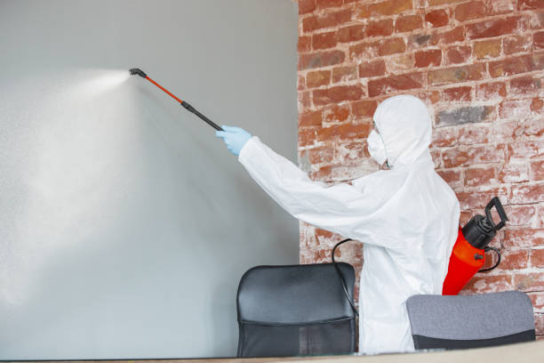 Best Residential Mold Inspection & Testing  in Ashville, OH