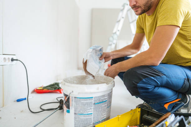 Best Basement Mold Removal  in Ashville, OH
