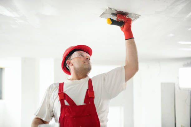 Best Comprehensive Air Testing for Mold Contaminants  in Ashville, OH