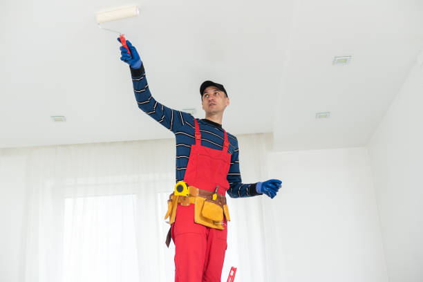 Best Dehumidification Services  in Ashville, OH