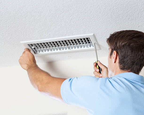 Best Mold-Related Health Consultation  in Ashville, OH