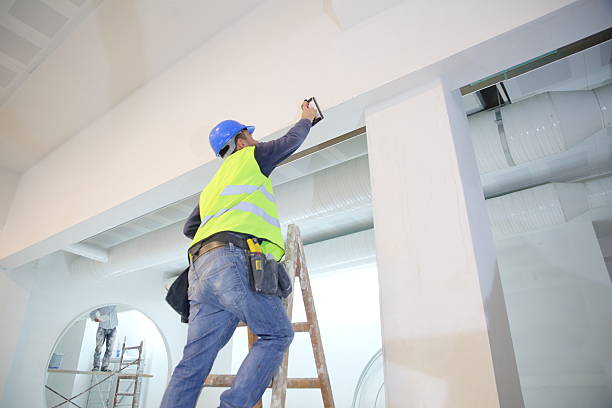 Best Environmental Consulting for Mold Prevention  in Ashville, OH