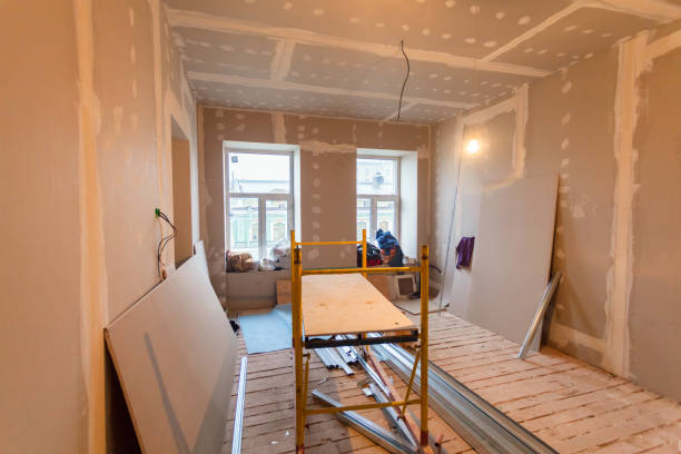 Best Crawl Space Mold Remediation  in Ashville, OH