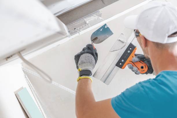 Best Attic Mold Removal  in Ashville, OH